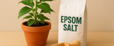 11 Ways to Use Epsom Salt in the Garden