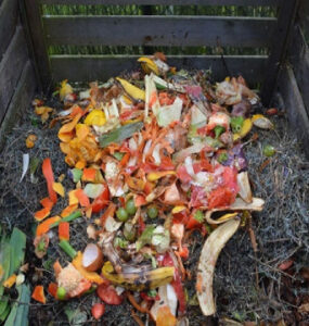 How to Start a Compost Pile at Home