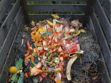 How to Start a Compost Pile at Home