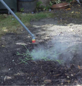 HotZot: A Hot Solution To Toxic Herbicides
