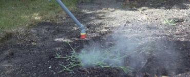 HotZot: A Hot Solution To Toxic Herbicides