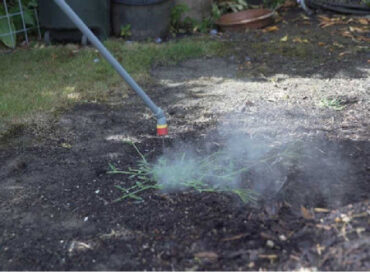 HotZot: A Hot Solution To Toxic Herbicides