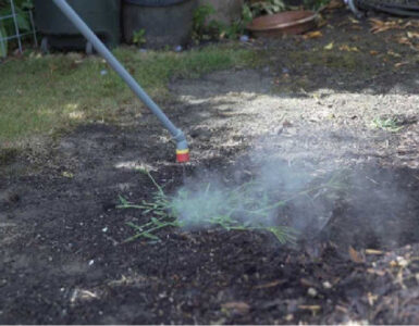 HotZot: A Hot Solution To Toxic Herbicides