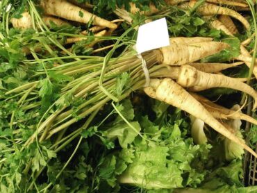 How to Grow Parsnip (Plus Nutrition Benefits)