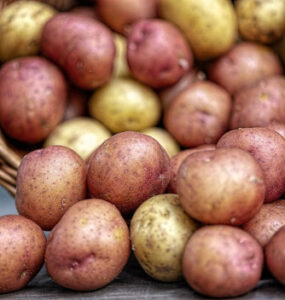 26 High-Yield Crops to Grow
