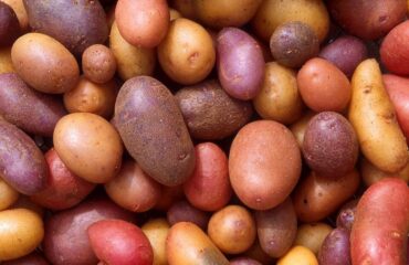 26 High-Yield Crops to Grow