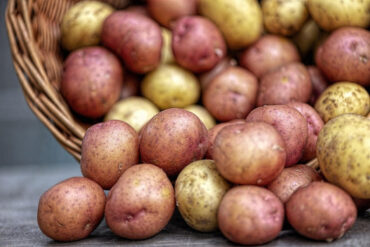 26 High-Yield Crops to Grow