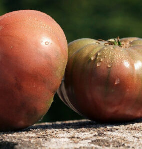 Cherokee Purple tomato - Types of Tomatoes (Varieties)