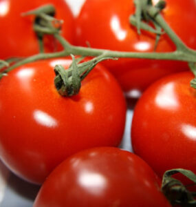 Ace 55 tomato - How to Grow Tomatoes at Home (From Seeds and Seedlings)