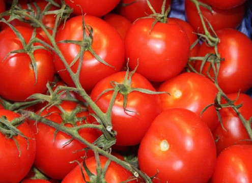 Caribe tomato