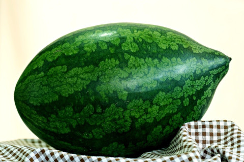 Congo watermelon