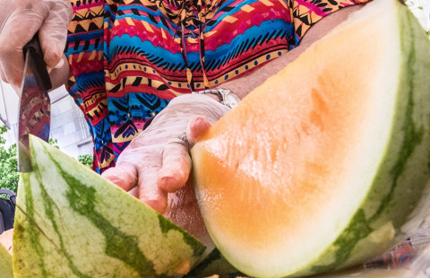 Tendersweet - Types of Melon