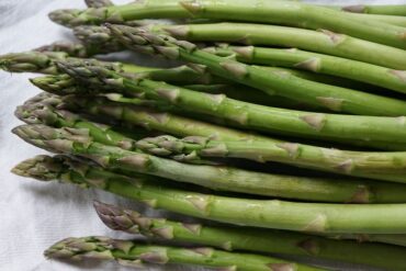 How To Grow Asparagus: Planting and Harvesting Guide