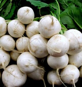 How to Grow Turnips (Plus Nutrition Benefits)