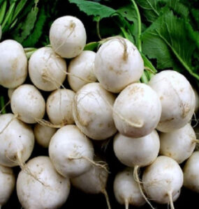 How to Grow Turnips (Plus Nutrition Benefits)