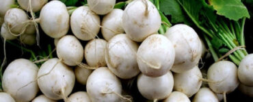 How to Grow Turnips (Plus Nutrition Benefits)