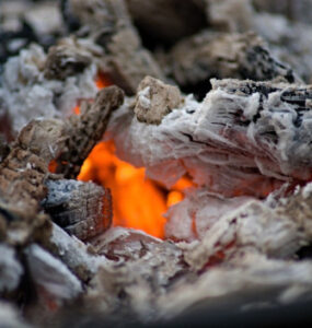 11 Wood Ash Garden Benefits and Uses