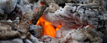 11 Wood Ash Garden Benefits and Uses