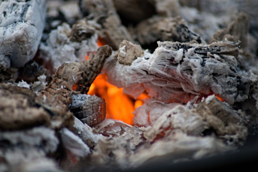 11 Wood Ash Garden Benefits and Uses
