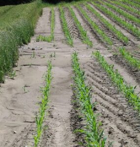 15 Types of Erosion and How to Prevent Them