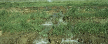 15 Examples of Erosion and How to Prevent Them
