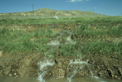 15 Examples of Erosion and How to Prevent Them
