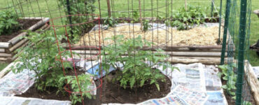 Using Newspaper to Kill Weeds: The Scoop