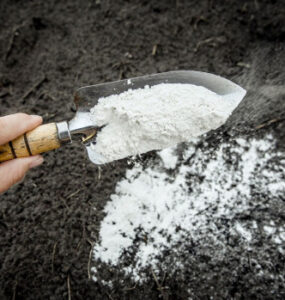 Uses for Lime in the Garden & How to Apply