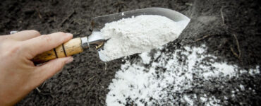 Uses for Lime in the Garden & How to Apply
