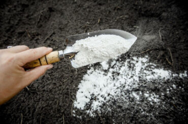 Uses for Lime in the Garden & How to Apply