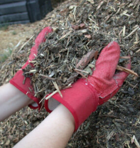10 Best Types of Garden Mulch