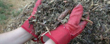 10 Best Types of Garden Mulch