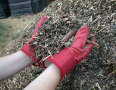 10 Best Types of Garden Mulch