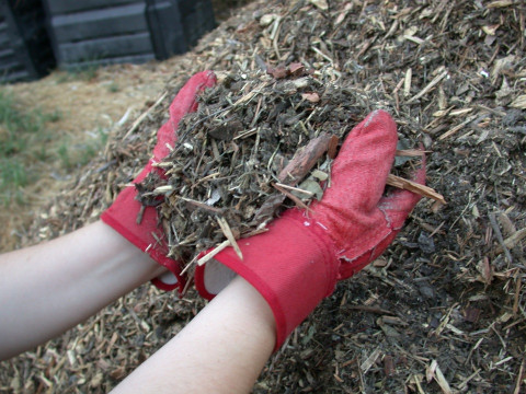 10 Best Types of Garden Mulch
