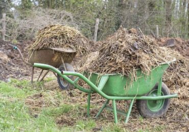 Using Manures in Your Vegetable Garden: Basic Guide