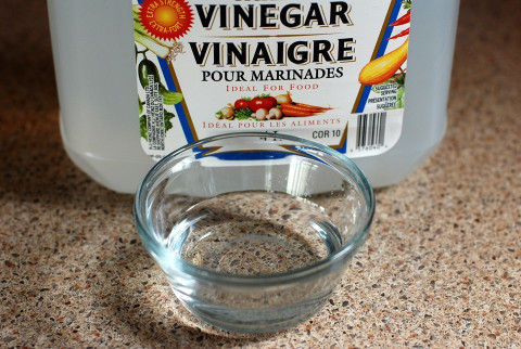 20 Benefits and Uses for Vinegar in the Garden