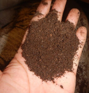 Bat Guano Fertilizer: Benefits and How to Use