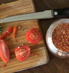 10 Tips on How to Save Seeds for Next Year