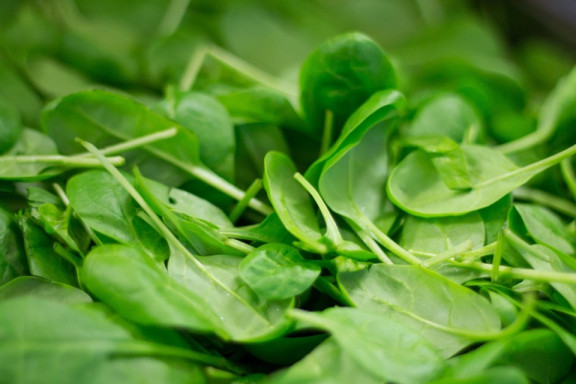 Good and Bad Spinach Companion Plants