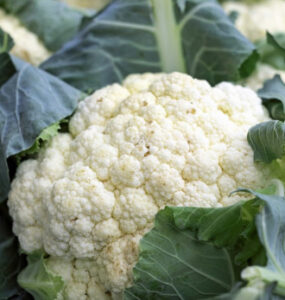 Good and Bad Cauliflower Companion Plants