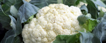 Good and Bad Cauliflower Companion Plants