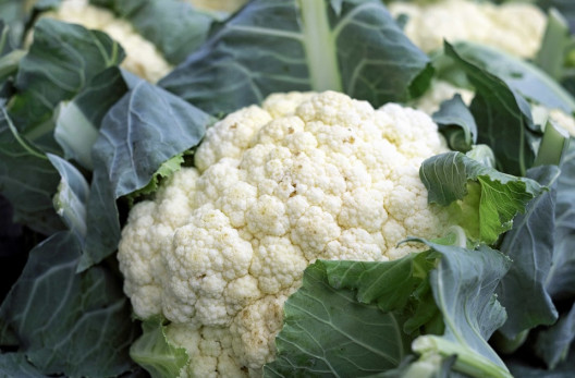 Good and Bad Cauliflower Companion Plants