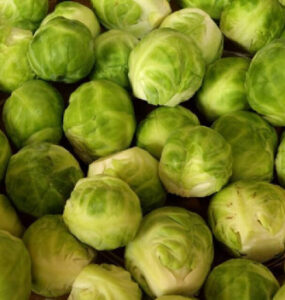 Good and Bad Brussels Sprouts Companion Plants