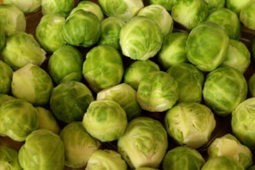 Good and Bad Brussels Sprouts Companion Plants