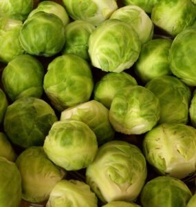 Good and Bad Brussels Sprouts Companion Plants