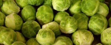 Good and Bad Brussels Sprouts Companion Plants