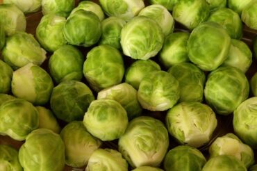 Good and Bad Brussels Sprouts Companion Plants