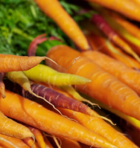 How to Grow Carrots At Home (From Seeds and Tops)