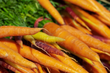 How to Grow Carrots At Home (From Seeds and Tops)