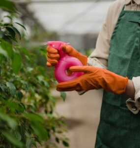 15 Natural and Homemade Fungicides for Plants